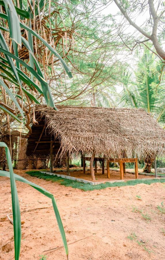Sarada Beach Resort Tissamaharama Bagian luar foto