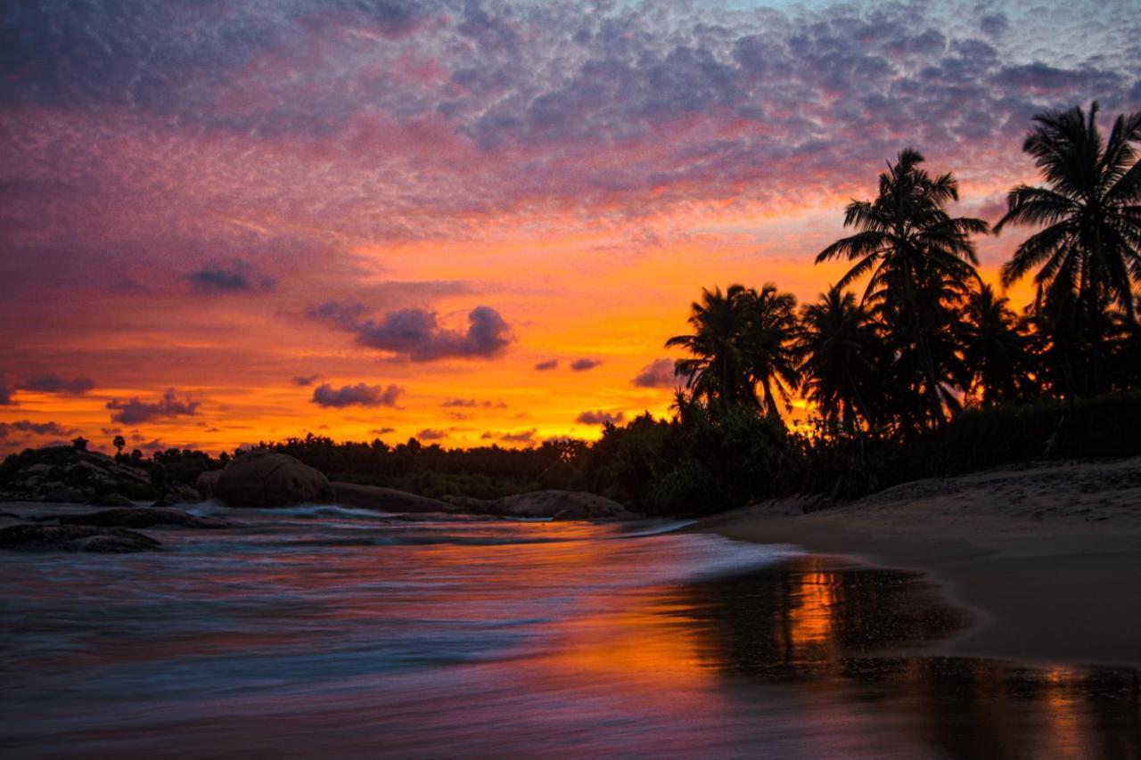 Sarada Beach Resort Tissamaharama Bagian luar foto